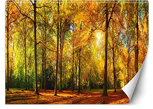 Feeby Fototapete Moderne Wanddeko Wandbild Herbst Bäume Natur Laub 350x245 cm Orange Wandtapete Design Kinderzimmer Küche Büro Flur Wohnzimmer Sonnenschein Im Wald