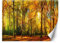 Feeby Fototapete Moderne Wanddeko Wandbild Herbst Bäume Natur Laub 350x245 cm Orange Wandtapete Design Kinderzimmer Küche Büro Flur Wohnzimmer Sonnenschein Im Wald