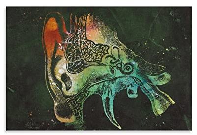 KIKIKI Medizinische und wissenschaftliche Kunst, menschliches Ohr, Poster, Kunstdruck, Wandfoto, Farbe, Poster, hängendes Bild F