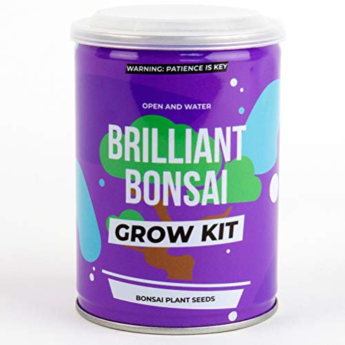 Gift Republic GR850003 Grow Your Own Bonsai Tree, Brown