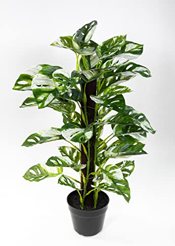 Seidenblumen Roß Künstliche Monstera Adansonii Variegata -panaschiert- Grün/Weiß 70cm JA Kunstpflanzen Pflanzen Real Touch
