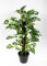 Seidenblumen Roß Künstliche Monstera Adansonii Variegata -panaschiert- Grün/Weiß 70cm JA Kunstpflanzen Pflanzen Real Touch