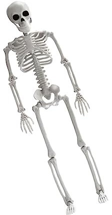 SOLUSTRE 1stk Halloween-Skelett Halloween Hängen Halloween Plastikskelett Pose Skelett Mini Skelett-Torso Plastikskelett Deko Mini Tasche Mit Knochen Reptil Metall Weiß Ganzer Körper