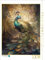 CALVENDO Puzzle EIN Motiv aus dem Kalender Malerische Pfaue | 1000 Teile Lege-Größe 48 x 64 cm Foto-Puzzle für glückliche Stunden