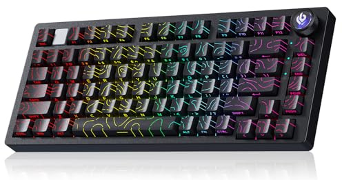 LEOBOG HI75C Pro Mechanical Wireless Keyboard, 75% TKL RGB Backlit Buletooth Mechanical Keyboard with Hot Swappable Reaper Switch for MAC/Window/Andriod/PC Gaming - Turquoise Switch, Black