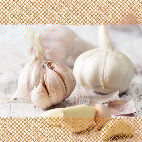 FLORTUS 2000-0360 XXL Winterpflanzknoblauch Messidrome (Pflanzknoblauch), Menge (Gramm, Kilogramm):3 Stück