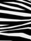 Zebra 4 - 100 page College Ruled Notebook