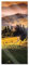 Pixxprint Glasbild Panorama, Wandbild aus Echtglas, Wunderschöne Toskana Landschaft, 100x40 cm, inkl. Aufhängung und Abstandshalter