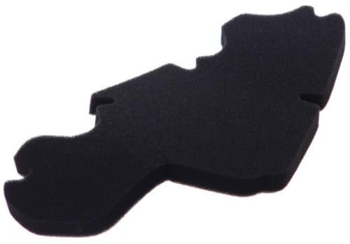 Filtro dell' aria per Liberty 50 2T 97 – 05