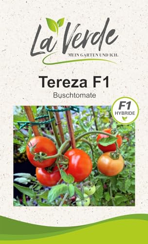 Tereza F1 Tomatensamen
