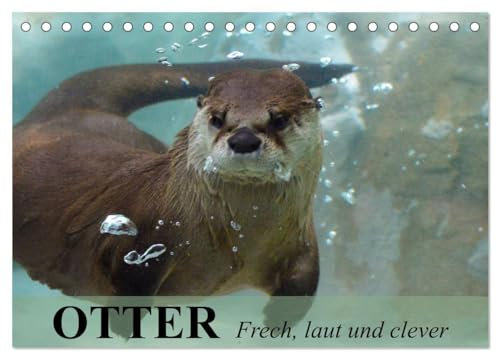 Otter. Frech, laut und clever (Tischkalender 2025 DIN A5 quer), CALVENDO Monatskalender: Putzige Räuber und echte Rabauken im und am Wasser