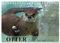 Otter. Frech, laut und clever (Tischkalender 2025 DIN A5 quer), CALVENDO Monatskalender: Putzige Räuber und echte Rabauken im und am Wasser