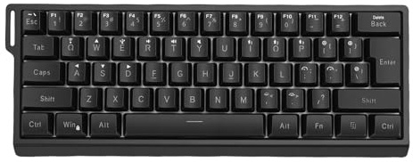Vvikizy Kabellose Mechanische Tastatur mit 61 Tasten, Bluetooth 2,4 G, Kabelgebundene RGB-Gaming-Tastatur mit Hintergrundbeleuchtung und Anti-Ghosting, für PC-Laptop (Schwarz)