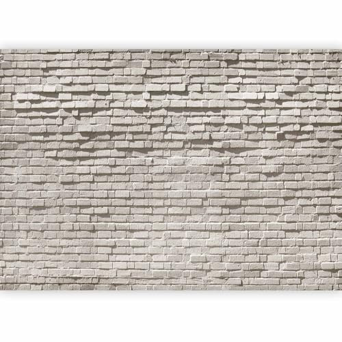 murando - Papier peint panoramique artistique 400x280 cm - Revêtement mural décoration salon - Design moderne - Gris marron - Brique blanche pierre fond de texture gris moderne f-B-0138-a-a