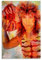 haocaitou Dokken Breaking The Chains Poster, dekoratives Gemälde, Leinwand, Wandkunst, Wohnzimmer, Poster, Schlafzimmer, Malerei, 20 x 30 cm