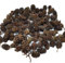 Schmitt Aquaristik Erlenzapfen 40g (ca. 100 Stück) / Schwarzerle, Alnus glutinosa, Ernte Spätherbst 2021