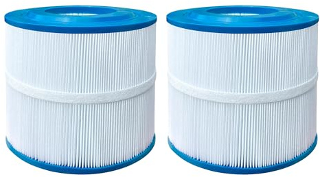 L-Fongda Spa-Filter kompatibel mit Wellspring 10-00281, Bullfrog Stil Series Spas, 2 Stück