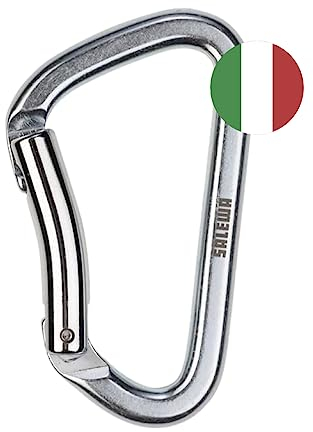 Salewa Hot Steel Bent Karabiner, Grau