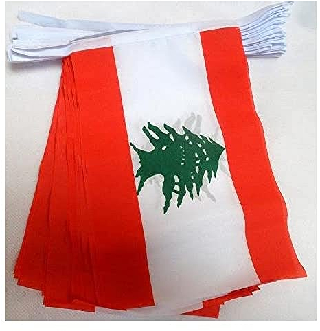 AZ FLAG Guirnalda 6 Metros, 20 Banderas de Líbano 21x15 cm, Bandera Libanesa 15 x 21 cm - Banderines Libaneses