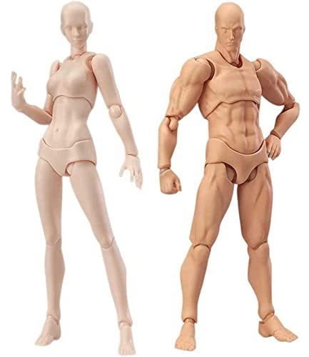 Tagtight Flexibler Schaufensterpuppe Gliederpuppe, Body Actionfigur Künstler, Dummy mit Gelenken, Jointed Männlich und Weiblich Mannequin für Zeichnung Skizzieren