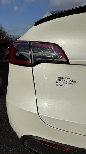 I BOUGHT THIS BEFORE ELON WENT CRAZY (Weiss) sticker - tesla auto aufkleber plott vinyl sticker schwarz und weiß