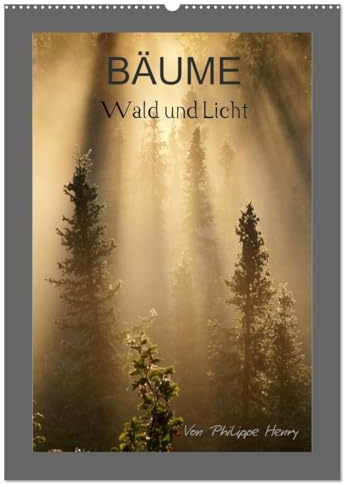 BÄUME (Wandkalender 2026 DIN A2 hoch), CALVENDO Monatskalender: Wald und Licht (CALVENDO Natur)
