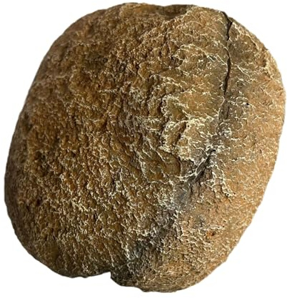 Klaisy Magnetische Aquarien Versteckt Felshöhle Für Fische Und Garnelenzucht Für Sichere Harzhöhle Für Einfache Glasbefestigung