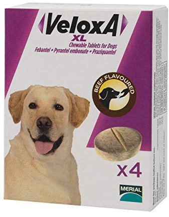 Veloxa XL Chewable Dog Wormer, 4 Tablets
