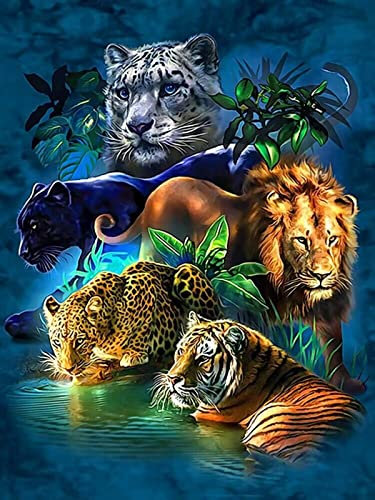 5D Diamond Painting Kit, Taladro Completo Stitch Cristal Pintura Diamante para Hogar/Decoración/Regalo (40x30cm)