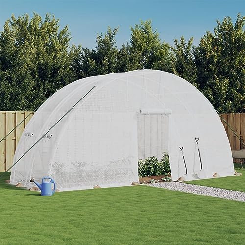 GuyAna Greenhouse Large Walk-In Green House Garden Plants Grow Galvanized Base Aluminium Frame with Slide Door,Greenhouse with Steel Frame White 12 m² 6x2x2.85 m
