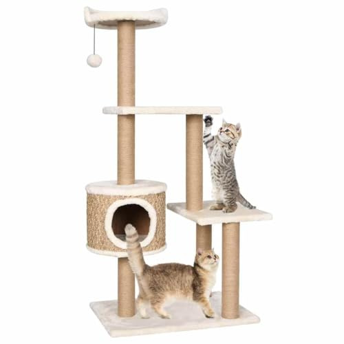 Kratzbaum 123 cm Seegras - Stabiler Kletterbaum für Katzen mit Kuschelhöhle, Plattform & Spielball - Kompakter Katzenbaum Beige 60x40cm - Kratzmöbel für Zuhause