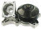 SKF VKPC 88310 Pompa acqua