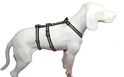 Feltmann NoExit Hundegeschirr Reflex, schwarz, 20mm/50-65cm