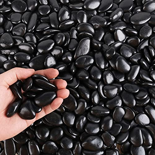 Schwarze Kieselsteine für Pflanzen, 1,4 kg, Großbeutel, 1,3 cm - 2,5 cm, dekorativer polierter Stein, natürliche Flussfelsen für Aquarien