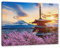 Pixxprint Japanischer Tempel zwischen Kirschblüten, Größe: 120x80cm, Leinwandbild, fertig gespannt, Wandbild, Dekoration, Kunstdruck, kein Poster