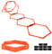 MSPORTS Koordinationsleiter Professional Multifunktional, 6X Hexagon-Elemente als Agility-Leiter u. Hürden kombinierbar Trainingsleiter Fußball Koordinationstraining Leiter