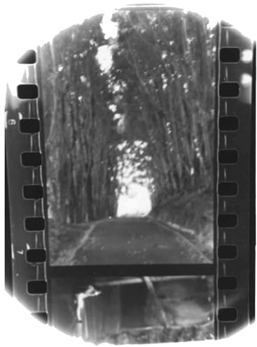 RUN FOR COVER 19377