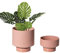 UBEE Lot de 2 Pots de Fleurs d'intérieur en céramique de 13 cm et 11 cm avec Trou de Drainage et Soucoupe - Terre Cuite