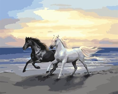 Yoonqun Schwarze weiße Pferde Malen Nach Zahlen,50x65cm Malen Nach Zahlen Erwachsene DIY inklusive Pinsel und Acrylfarben Handgemalt Ölgemälde Kit Startseite Wandkunst Dekoration mit Rahmen