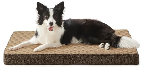 JOEJOY Orthopädisches Hundebett Grosse Hunde, Hundekissen Waschbar Flauschig Hundematte, Hundematratze für Grosse Hunde, rutschfeste Unterseite, 89x56x8cm