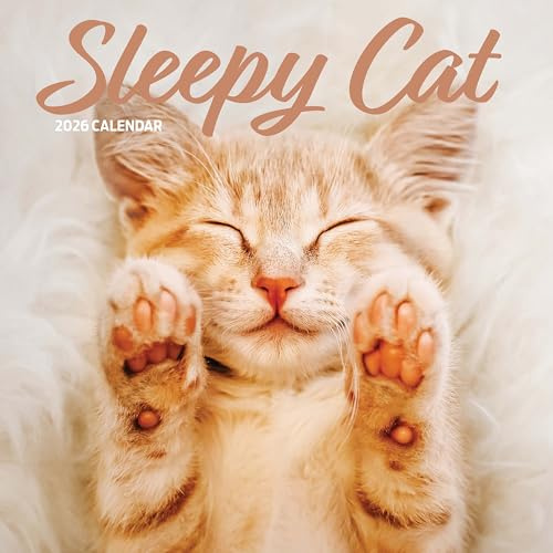 Sleepy Cat Kalender 2026