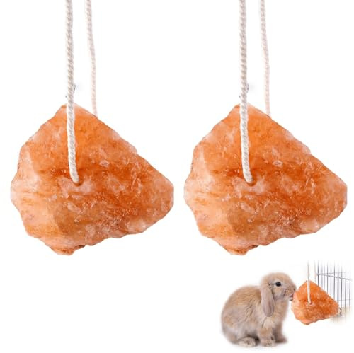 BCHMN Lot de 2 Pierres à Lécher en Sel de l'Himalaya avec Corde, Blocs Minéraux Naturels pour Lapins, Cochons d'Inde et Rongeurs, Favorise la Santé Dentaire et la Digestion, 3-5cm