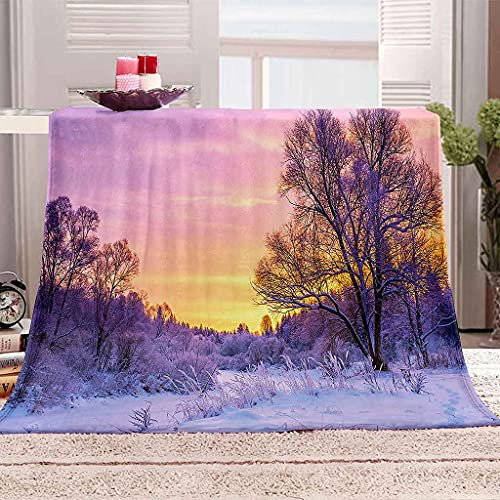 YHDNP Kuscheldecke Flanell Fleecedecke Für Erwachsene Und Kinder Weiße Schneeszene Im Winter 3D Kinder Wohndecke Decke Couchdecke Sofadecke 180x200cm Flauschige Weiche& Warme Sofa Kuscheldecken