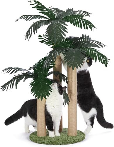 31.5Inch Cat Scratching Post,Cat Scratcher Tree with 3 Scratching Poles & 2 Interactive Dangling Balls,Cats Scratching Posts for Indoor Kitten & Adult Cats (Palm Tree)
