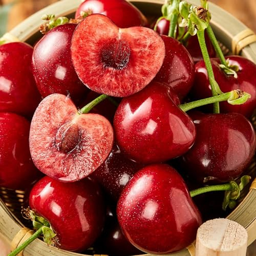 50 pcs kirschbaum samen - Prunus avium - seed, geschenke für gartenfreunde kirschbaum pflanze pflanzensamen, winterharte kübelpflanzen obstbäume, zimmerpflanzen extrem winterharte