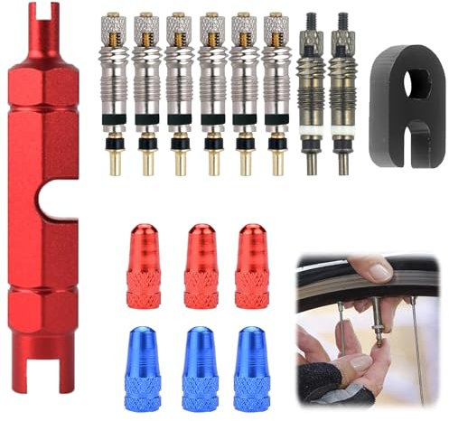 16-teiliges Fahrradventil-Reparaturset - Presta (Französisches) Ventilkerne, Adapter und Werkzeug für Ventileinsatzentfernung, Inklusive Ventilkappen (16 Pcs)
