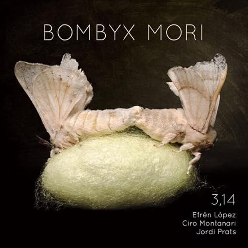 Bombyx Mori