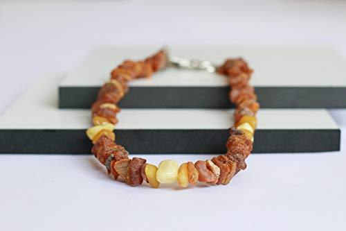 Bernsteinkette für Hunde aus Roh Baltischer Bernstein | Zeckenhalsband | Bernstein Gegen Zecken | Zecken und Flohschutz Halsband (60-65 cm)