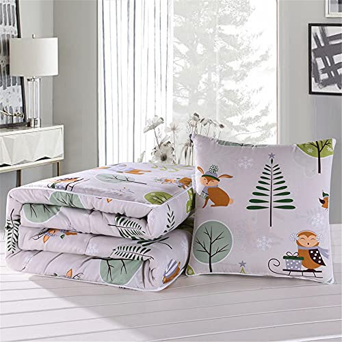 goodFarewell Kissendecke 2 in 1​ Reisedecke Kissen Quilt Multifunktionale Kissen Decke Nackenstützkissen Soft & Warm Nap Mat Kissen für Schlafsofa Bürostuhl （Paradies）