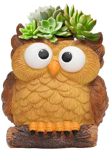 Eulen-Sukkulenten-Blumentöpfe, Eulen-Pflanztopf, Drainage-Harz, Niedlicher Tier-Kaktus-Blumentopf, Kreativer Cartoon-Übertopf Für Landschafts-Sukkulenten, Neuartiger Übertopf Für Pflanzliebhaber